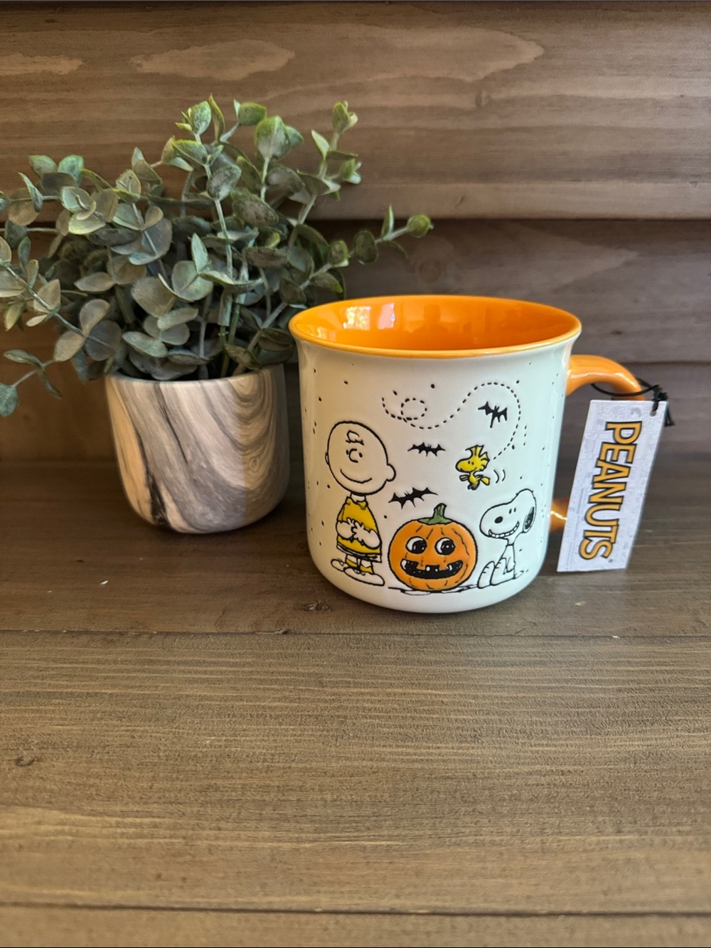 Peanuts Halloween Snoopy & Charlie Brown Mug